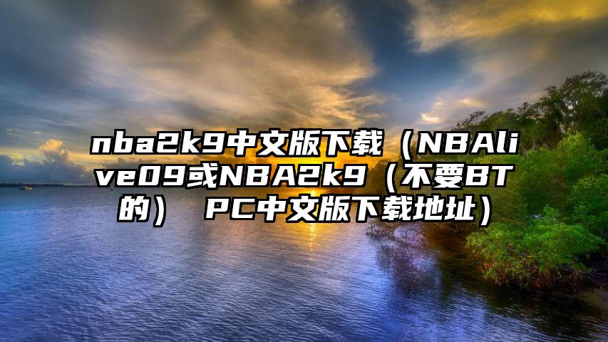 nba2k9中文版下载（NBAlive09或NBA2k9（不要BT的） PC中文版下载地址）