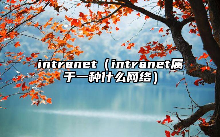 intranet（intranet属于一种什么网络）