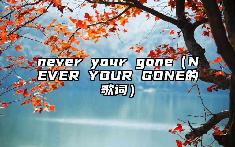 never your gone（NEVER YOUR GONE的歌词）