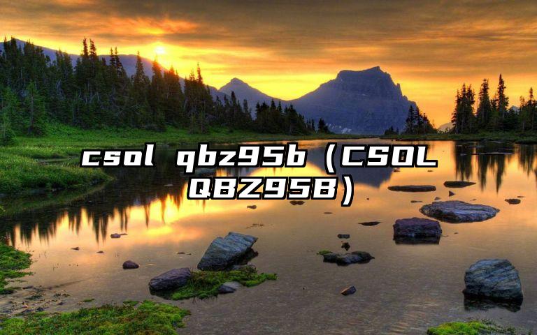csol qbz95b（CSOL QBZ95B）