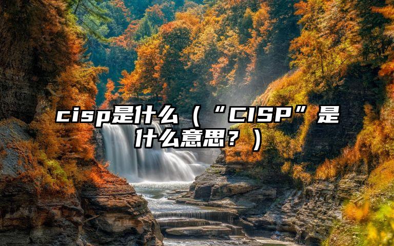 cisp是什么（“CISP”是什么意思？）