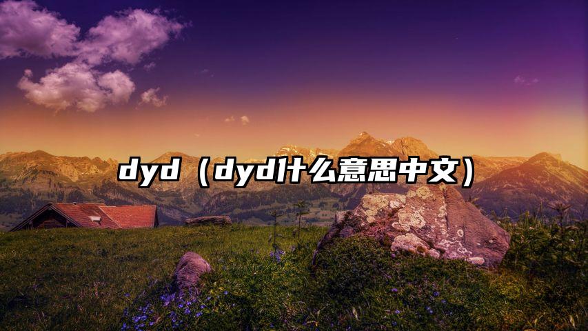 dyd（dyd什么意思中文）