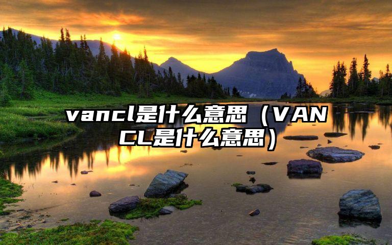 vancl是什么意思（VANCL是什么意思）