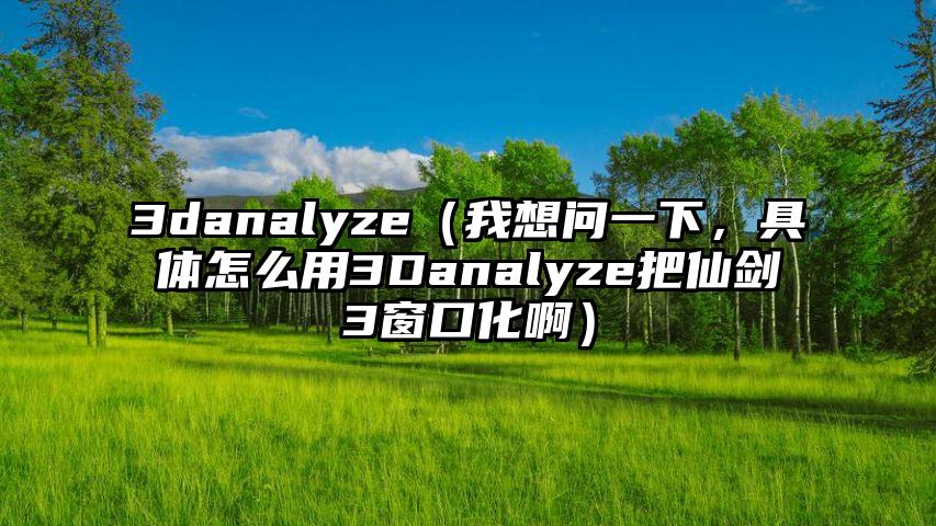 3danalyze（我想问一下，具体怎么用3Danalyze把仙剑3窗口化啊）