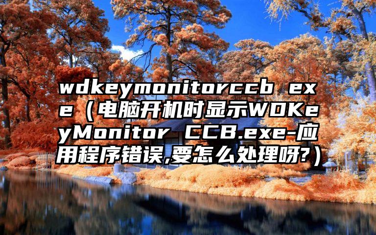 wdkeymonitorccb exe（电脑开机时显示WDKeyMonitor CCB.exe-应用程序错误,要怎么处理呀?）
