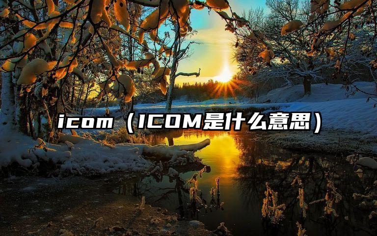 icom（ICOM是什么意思）
