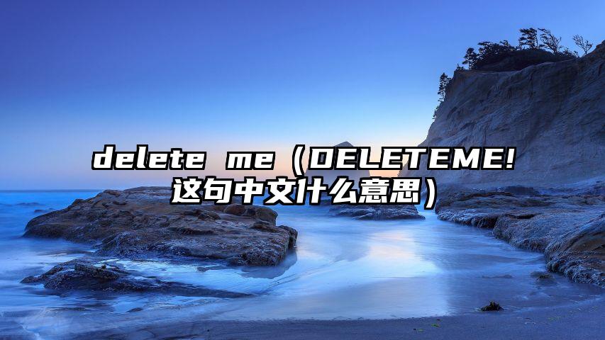 delete me（DELETEME!这句中文什么意思）