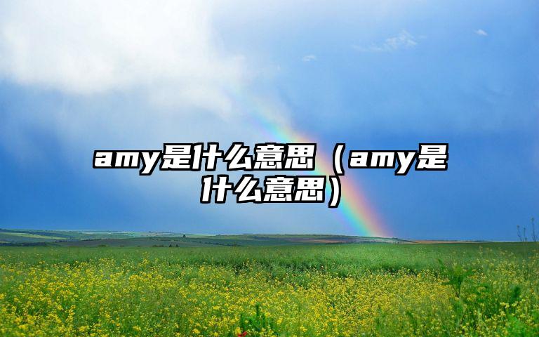 amy是什么意思（amy是什么意思）
