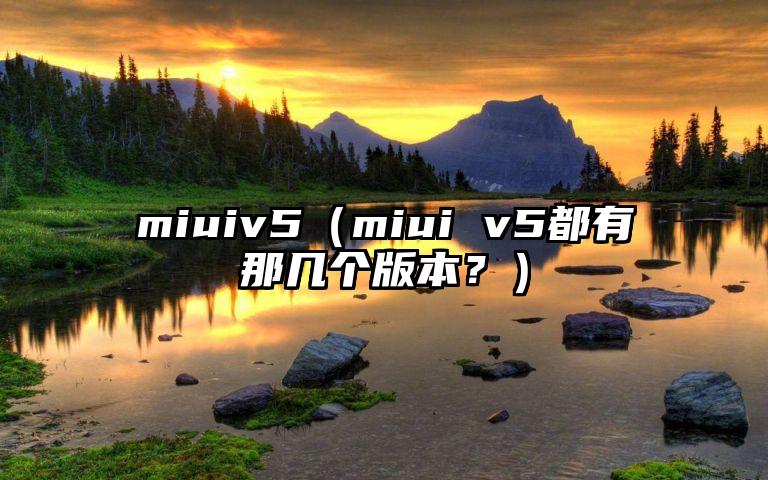 miuiv5（miui v5都有那几个版本？）