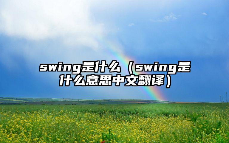 swing是什么（swing是什么意思中文翻译）
