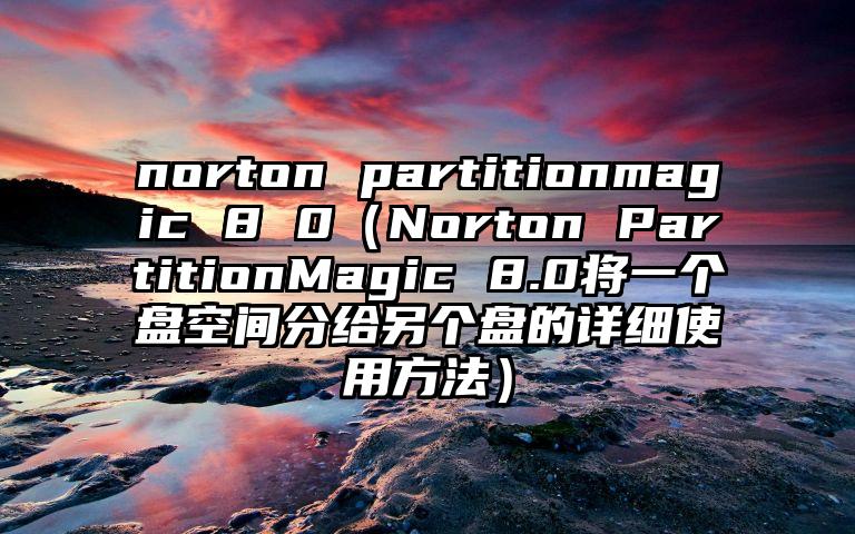 norton partitionmagic 8 0（Norton PartitionMagic 8.0将一个盘空间分给另个盘的详细使用方法）