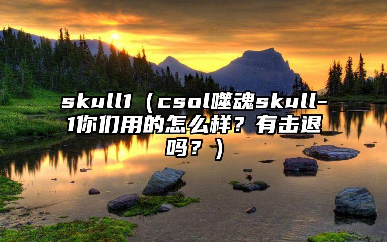skull1（csol噬魂skull-1你们用的怎么样？有击退吗？）
