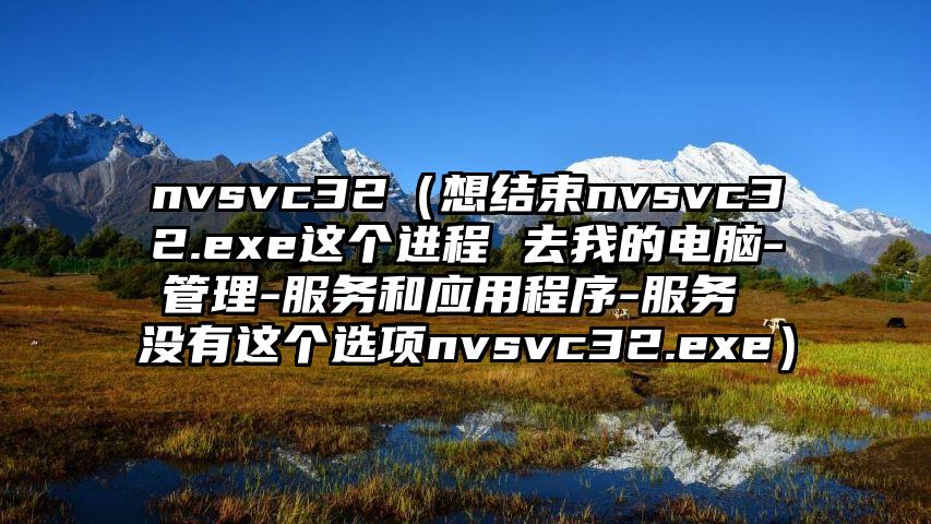 nvsvc32（想结束nvsvc32.exe这个进程 去我的电脑-管理-服务和应用程序-服务 没有这个选项nvsvc32.exe）