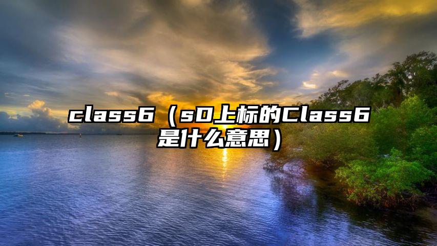 class6（sD上标的Class6是什么意思）