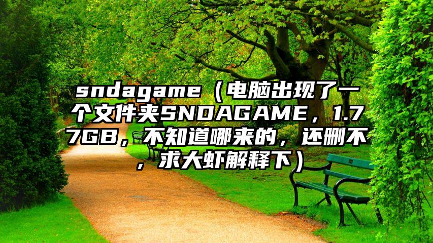 sndagame（电脑出现了一个文件夹SNDAGAME，1.77GB，不知道哪来的，还删不，求大虾解释下）