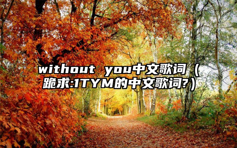 without you中文歌词（跪求:1TYM的中文歌词?）