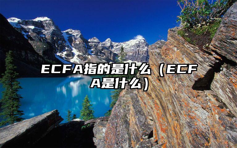 ECFA指的是什么（ECFA是什么）