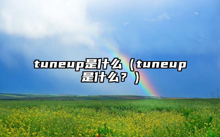 tuneup是什么（tuneup是什么？）