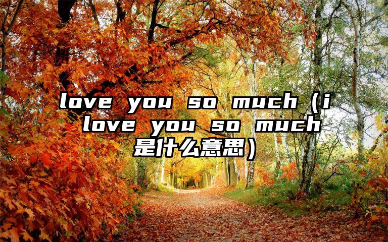 love you so much（i love you so much是什么意思）