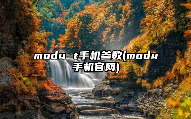 modu t手机参数(modu手机官网)