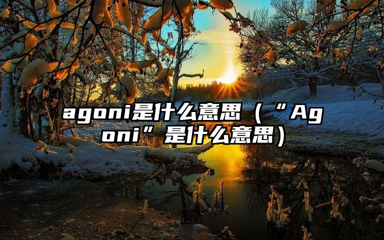 agoni是什么意思（“Agoni”是什么意思）