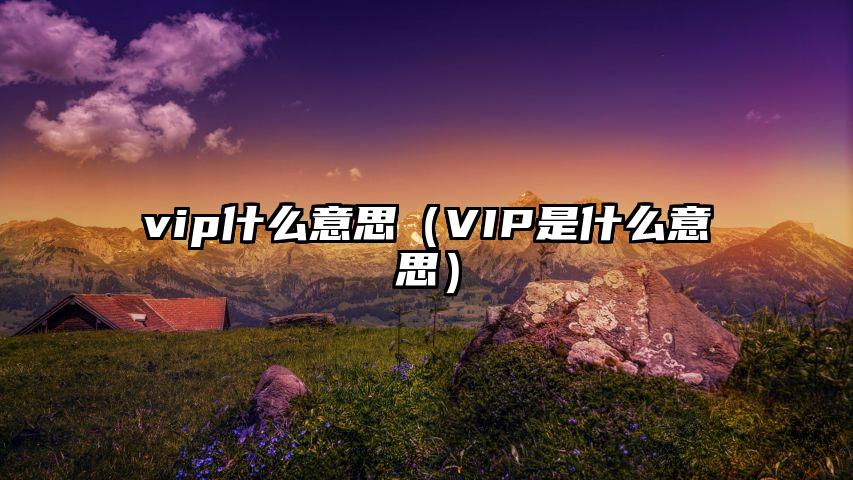 vip什么意思（VIP是什么意思）