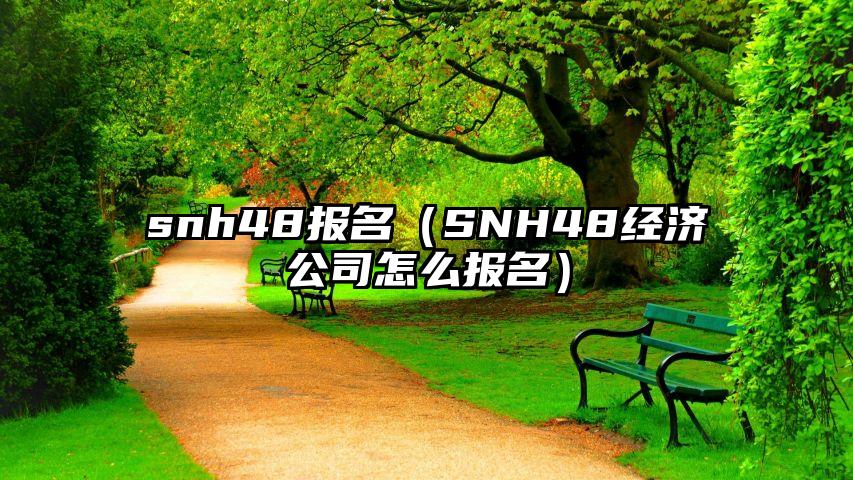snh48报名（SNH48经济公司怎么报名）
