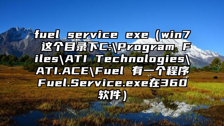 fuel service exe（win7 这个目录下C:\Program Files\ATI Technologies\ATI.ACE\Fuel 有一个程序Fuel.Service.exe在360软件）
