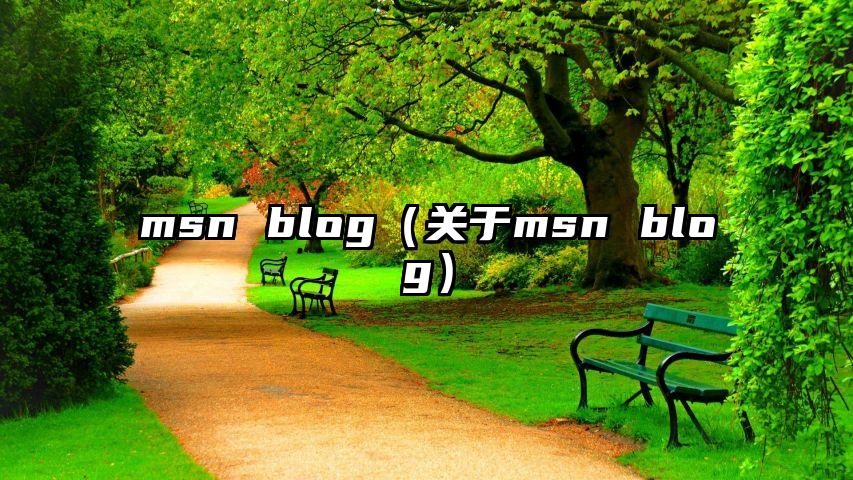 msn blog（关于msn blog）