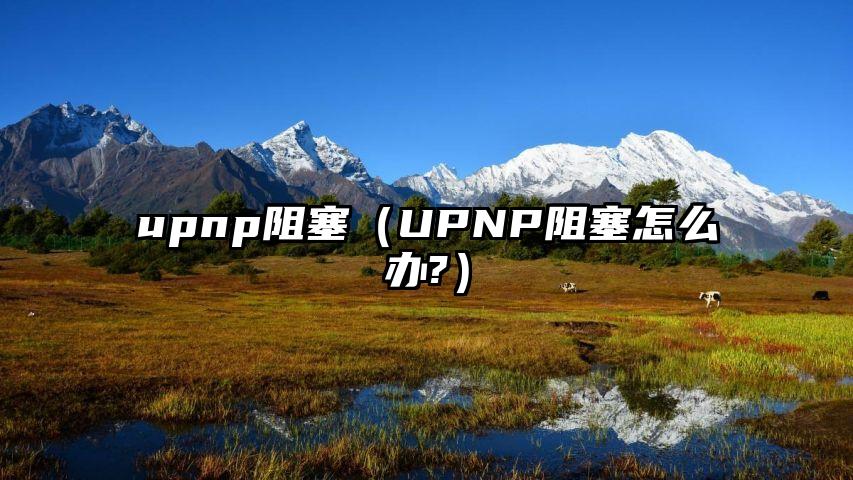 upnp阻塞（UPNP阻塞怎么办?）