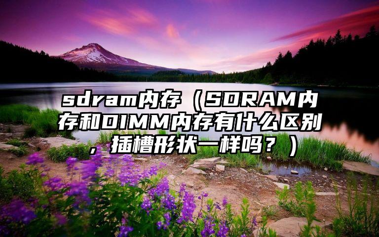 sdram内存（SDRAM内存和DIMM内存有什么区别，插槽形状一样吗？）