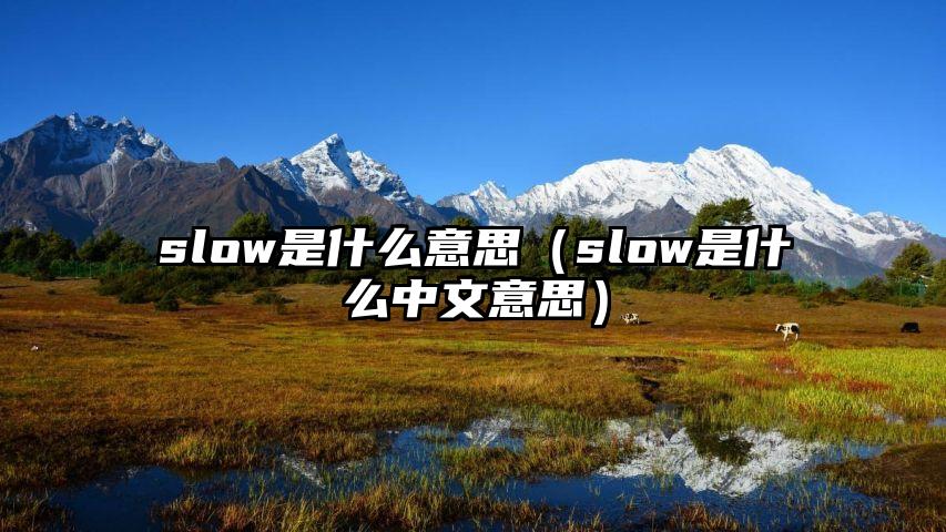 slow是什么意思（slow是什么中文意思）