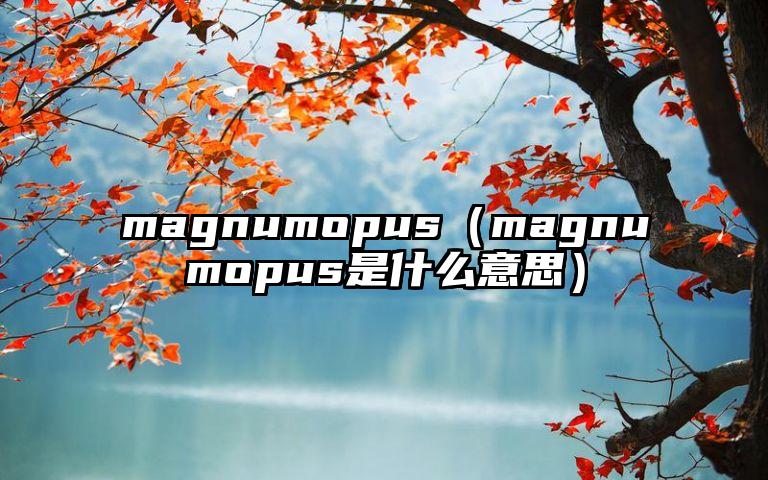 magnumopus（magnumopus是什么意思）