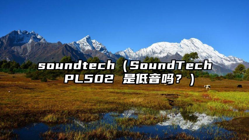 soundtech（SoundTech PL502 是低音吗？）