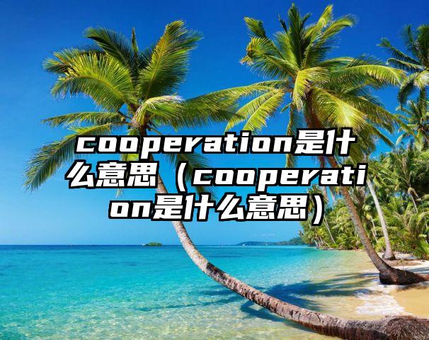 cooperation是什么意思（cooperation是什么意思）