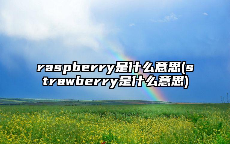 raspberry是什么意思(strawberry是什么意思)