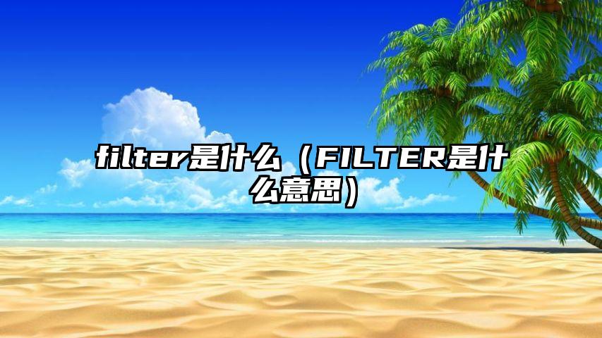 filter是什么（FILTER是什么意思）