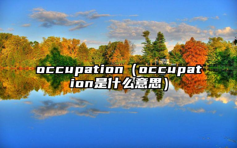 occupation（occupation是什么意思）