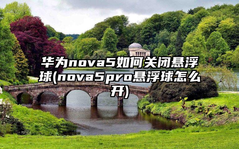 华为nova5如何关闭悬浮球(nova5pro悬浮球怎么开)