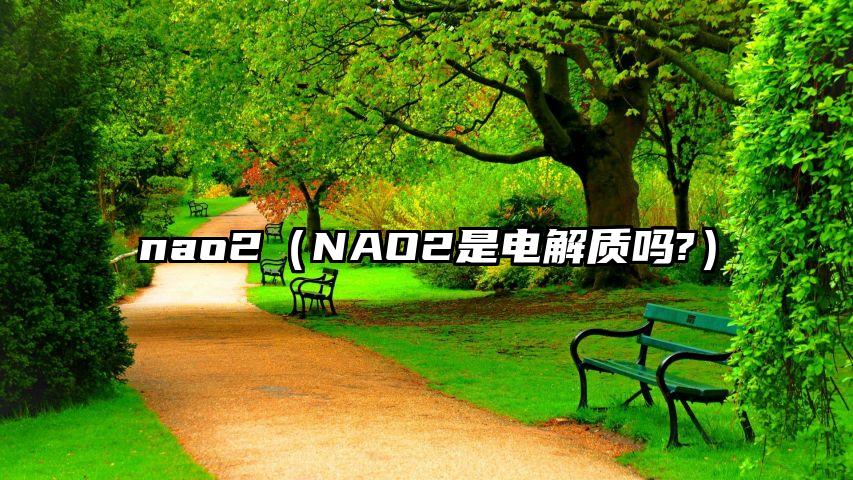 nao2（NAO2是电解质吗?）