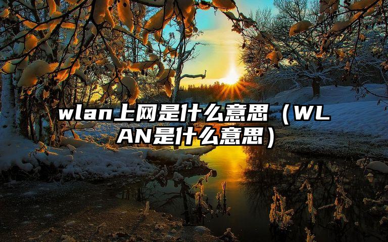 wlan上网是什么意思（WLAN是什么意思）