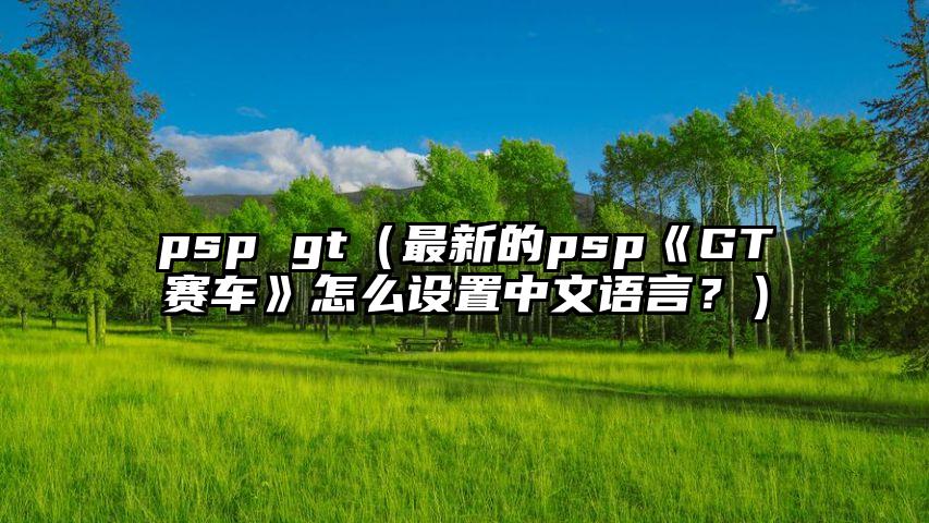 psp gt（最新的psp《GT赛车》怎么设置中文语言？）