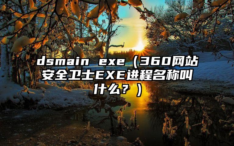 dsmain exe（360网站安全卫士EXE进程名称叫什么？）