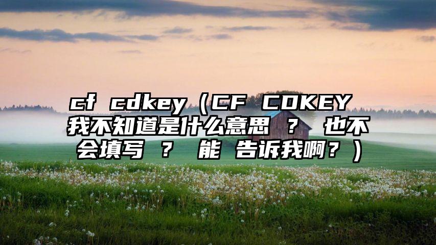 cf cdkey（CF CDKEY 我不知道是什么意思 ？ 也不会填写 ？ 能 告诉我啊？）