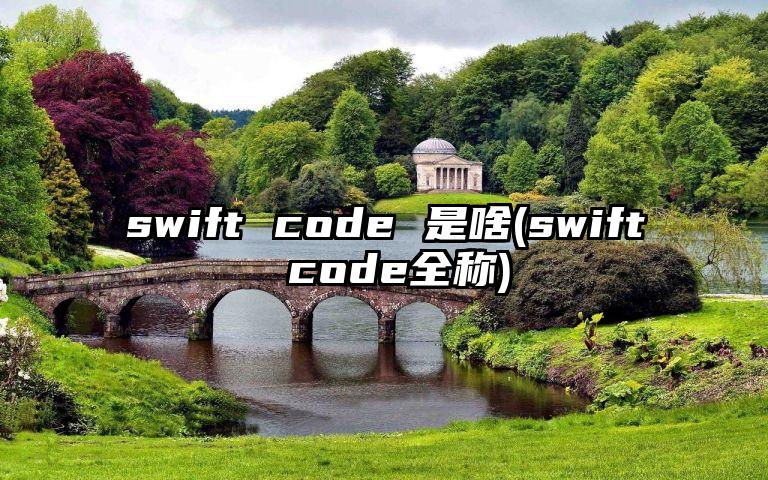 swift code 是啥(swift code全称)