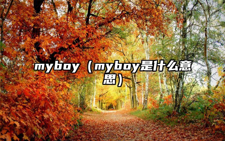 myboy（myboy是什么意思）