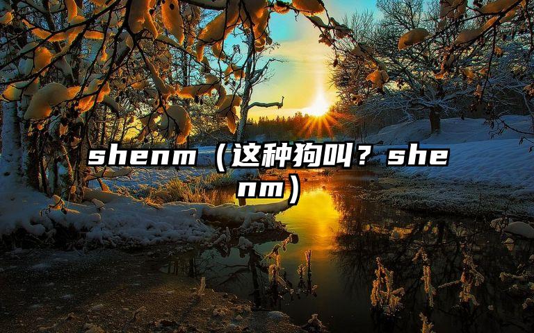 shenm（这种狗叫？shenm）