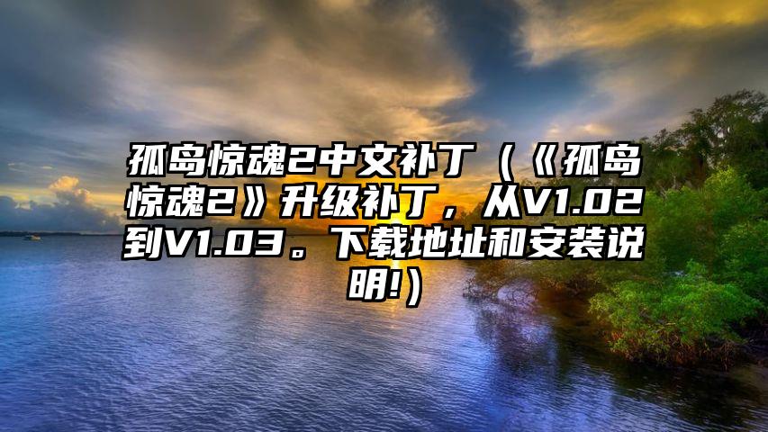 孤岛惊魂2中文补丁（《孤岛惊魂2》升级补丁，从V1.02到V1.03。下载地址和安装说明!）