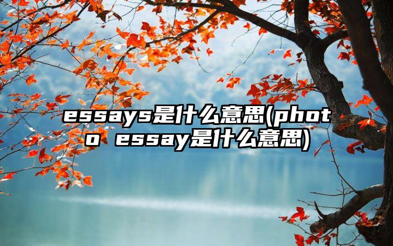 essays是什么意思(photo essay是什么意思)