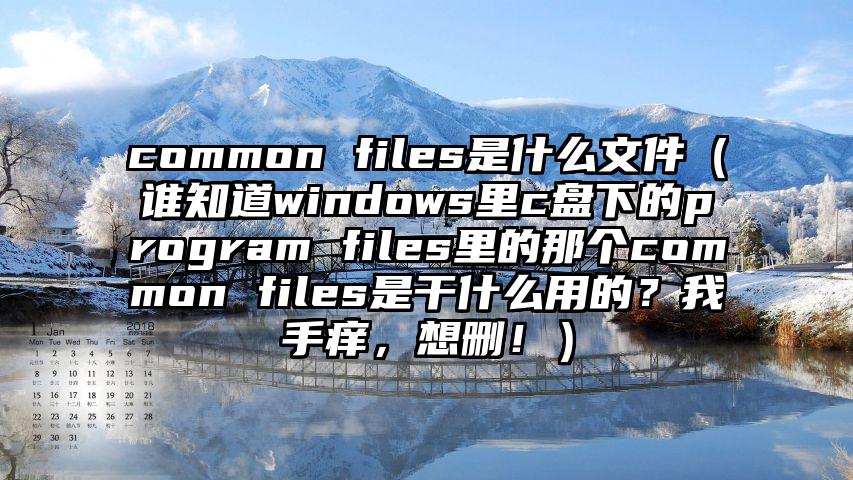 common files是什么文件（谁知道windows里c盘下的program files里的那个common files是干什么用的？我手痒，想删！）